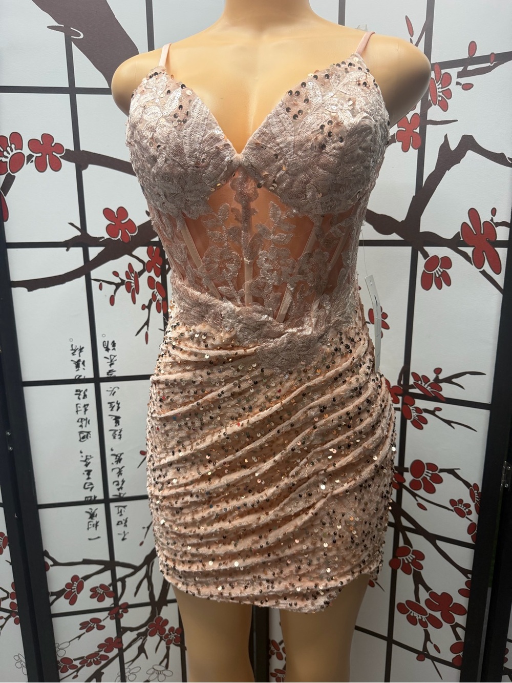 Embellished Blush Lace Mini Dress – Women's Sequin Bodycon